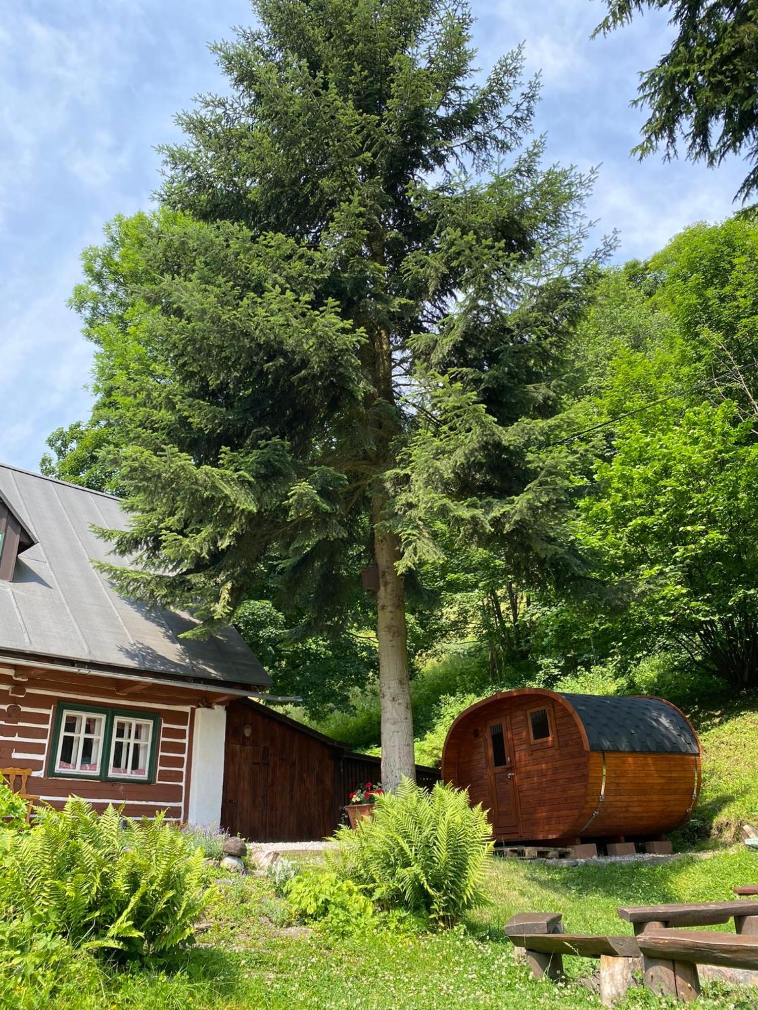 Chalupa Šárka Dolni Dvur Exterior foto